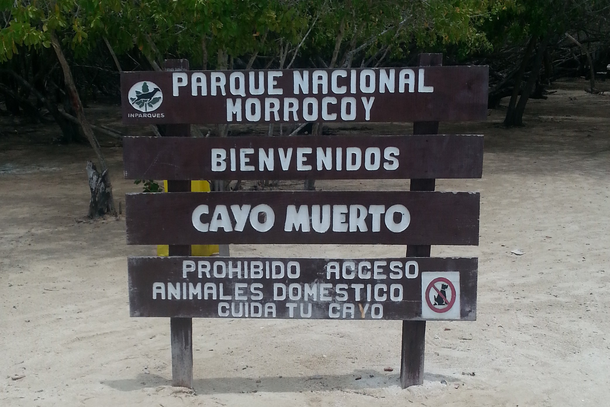 Full Day en Cayo Muerto