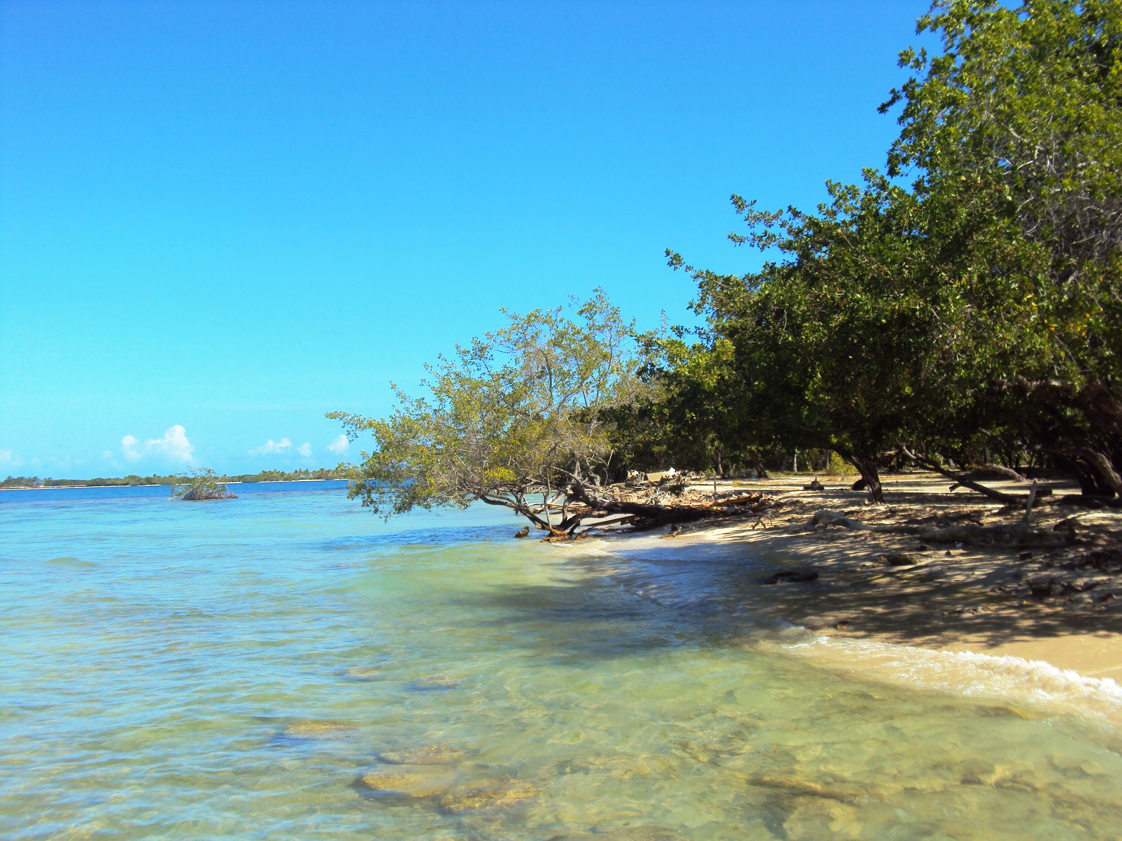 0 Full Day en Cayo Muerto