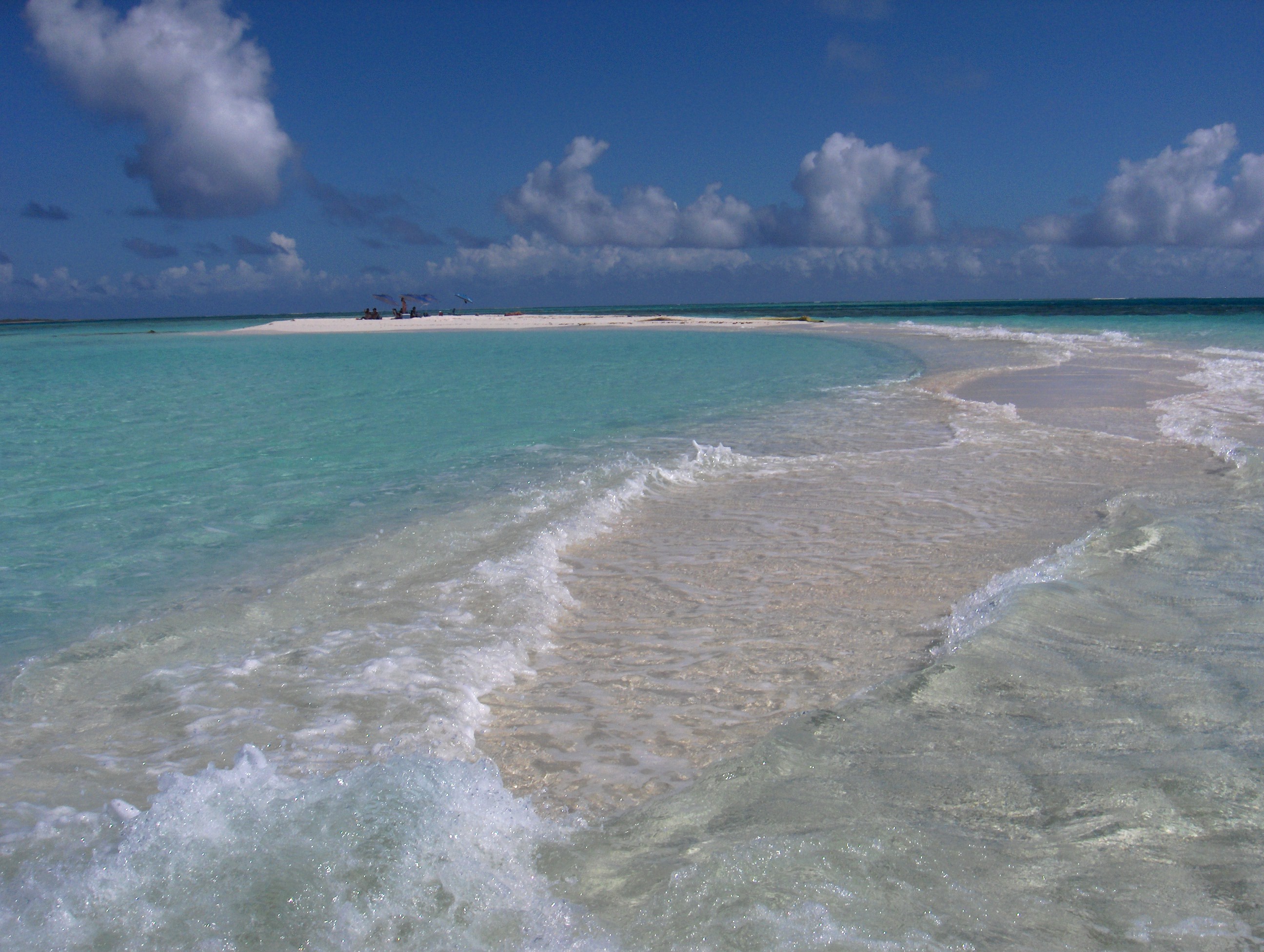 1 Full Day en Cayo Muerto