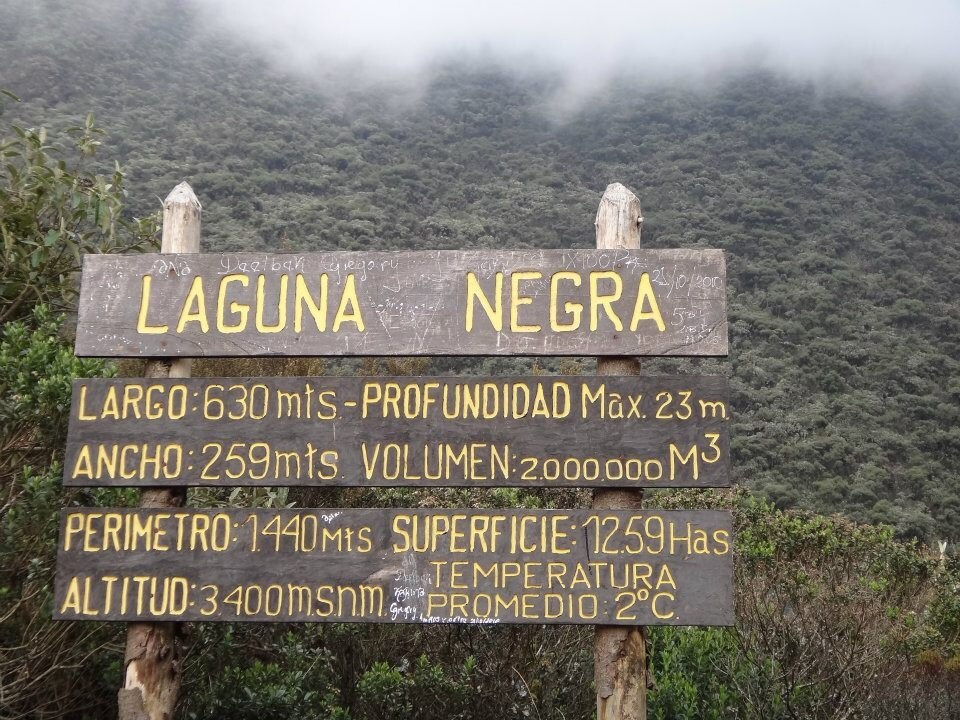 Tour por la ciudad de Mérida